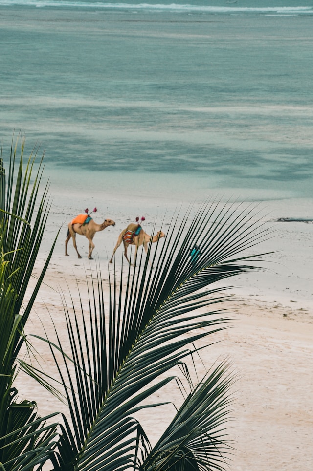 Mombasa City Excursion