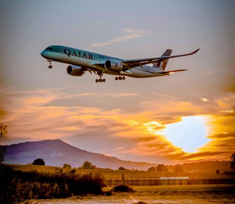 pexels-reto-burkler-640438-1443894