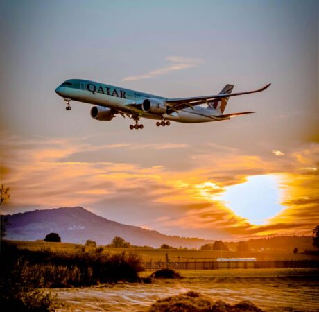 pexels-reto-burkler-640438-1443894